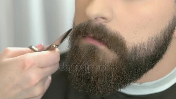 Beard trimming, comb and scissors. — Stock Video