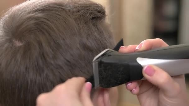 Homem cortando o cabelo, de perto . — Vídeo de Stock