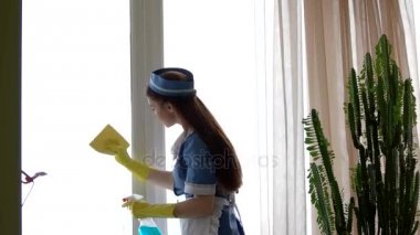 Genç hizmetçi bir pencere Temizleme.