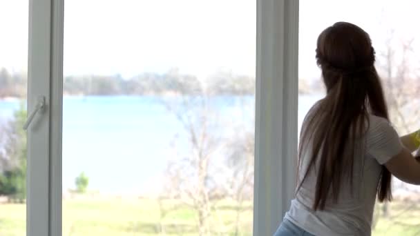 Mulher com pano limpa janela . — Vídeo de Stock