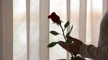 Erkek el ve çiçek.