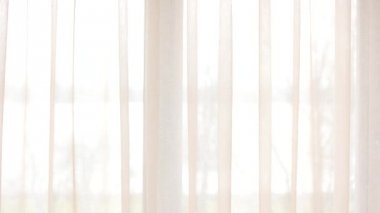 Kafkas çift ve gül.