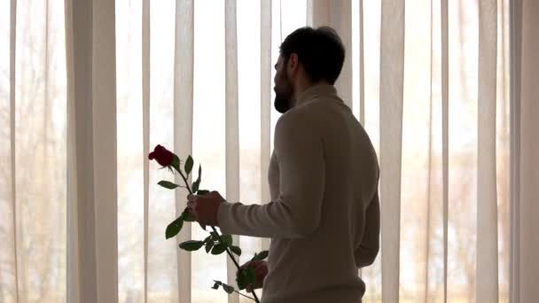 Barbu guy holding rose . — Video