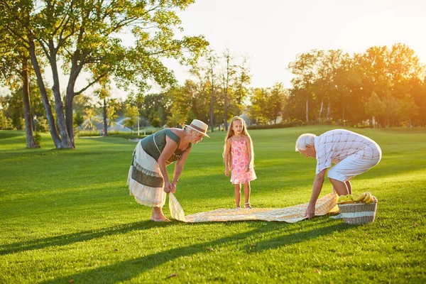 Personas mayores con nieto, picnic . — Foto de Stock