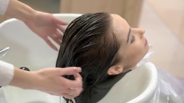 Manos de esteticista, cabello mojado . — Vídeos de Stock