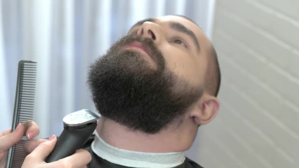 Taille de barbe dans le salon de coiffure . — Video