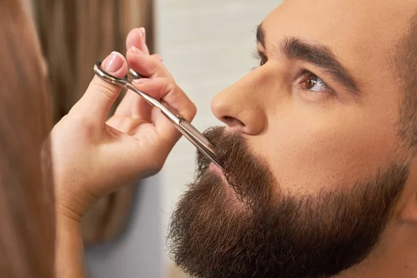 Sakallı yüzü, el makas ile kesme.