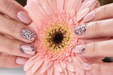 Gerbera tutan zarif eller.