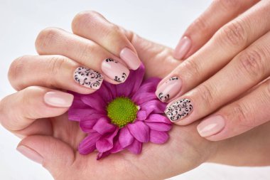 Krizantem tutan manikürlü eller.