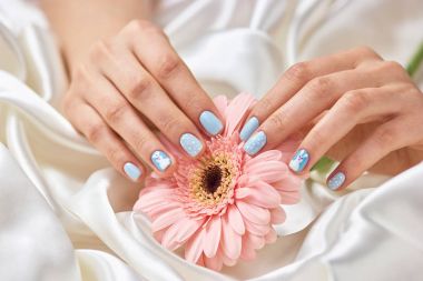 Manikürlü eller gerbera holding.