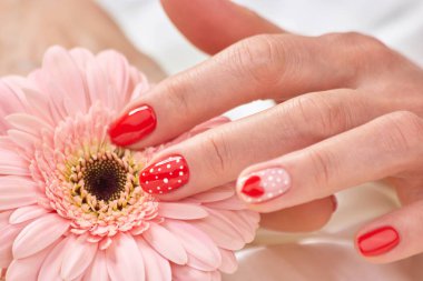 Manikürlü el üzerinde gerbera.
