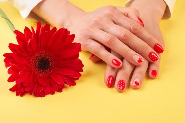 Eller ve kırmızı gerbera.