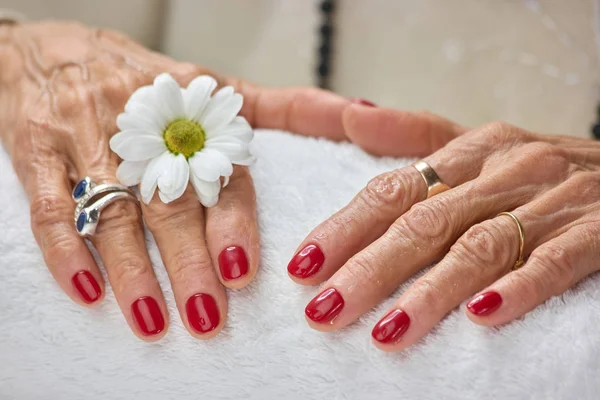 Женские руки с хризантемой после спа . — стоковое фото