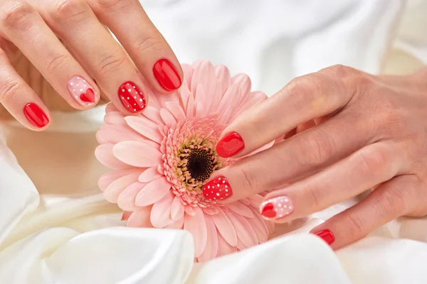 Hermosa gerbera suave en manos femeninas . — Foto de Stock