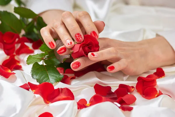Fresh rose, female hands, petals.