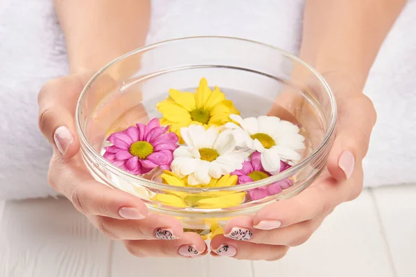 Bowl with chrysanthemums in female hands.