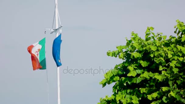 Italiaanse Marine ensign, Eu-vlag. — Stockvideo