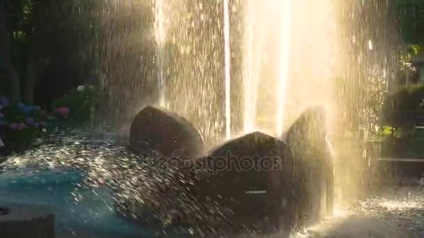 Fontaine dans le parc, slow-mo . — Video