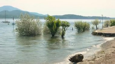 Lake Maggiore shore, ağaçlar.