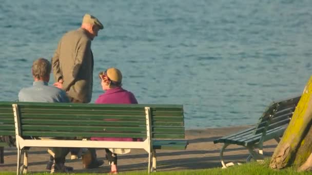 Seniorenpaar auf der Bank. — Stockvideo