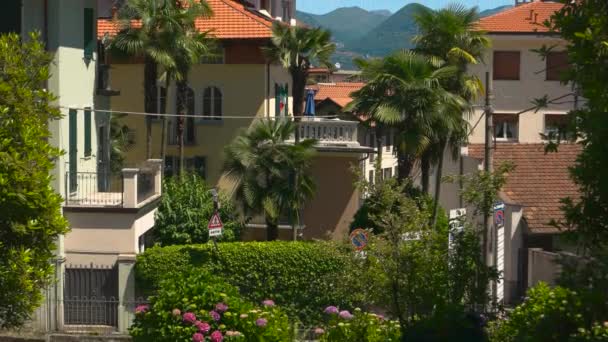 Palm trees, buildings and sky. — Stock Video