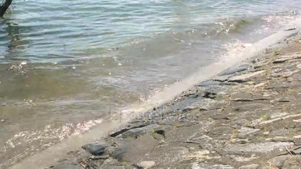 Olas en la costa pedregosa . — Vídeos de Stock