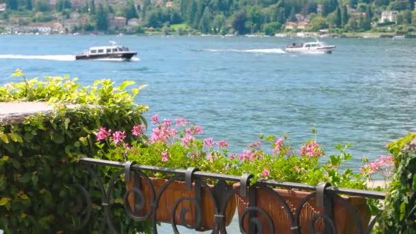 Flores de balcón, lago Mayor fondo . — Vídeos de Stock