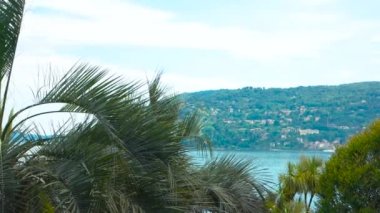 Doğa, su ve şehir.