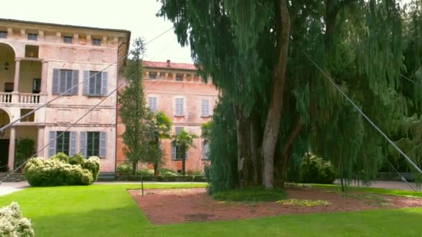 Kasjmir cypress in de buurt van Palazzo Borromeo. — Stockvideo