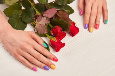 Manikürlü eller ve kırmızı gül.