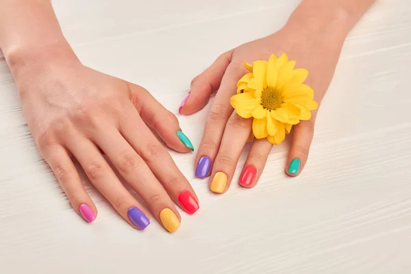 Bunte Maniküre und kleine gelbe Chrysanthemen. — Stockfoto