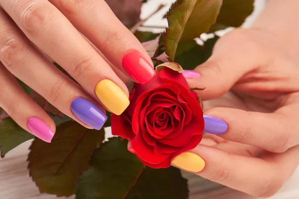 Close up of manicured hands with rose.