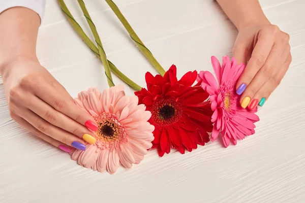 Manicured hands and colorful gerberas.