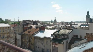 Şehrin arka plan üzerinde beyaz petunyaların.