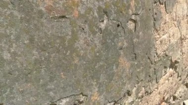 Hasarlı duvar ve güneş ışığı.