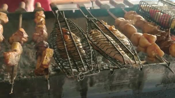 Meat and fish on brazier. — Stock Video