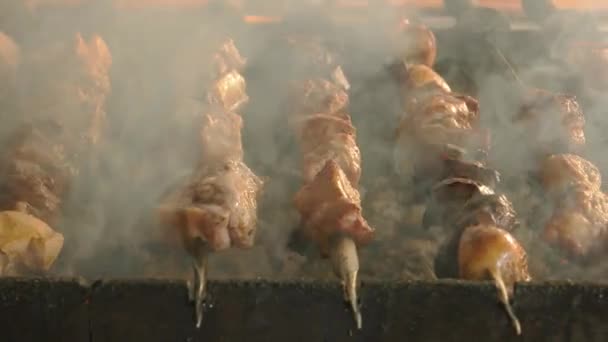 Pork shashlik being cooked. — Stock Video