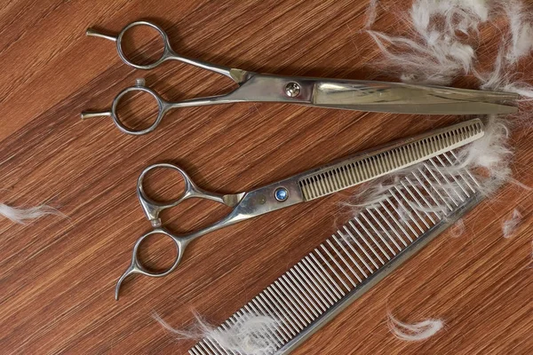 Pet grooming scissors and comb.