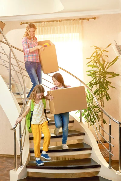 Karton kutular grubu.