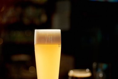 Lager bira bardağına yakın çekim.