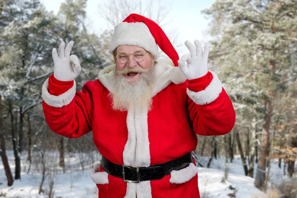 Weihnachtsmann macht Ok-Zeichen mit beiden Händen. — Stockfoto