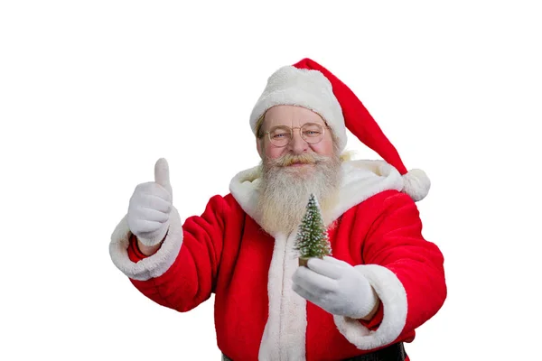 Gestos de Santa Claus sobre fondo blanco . —  Fotos de Stock