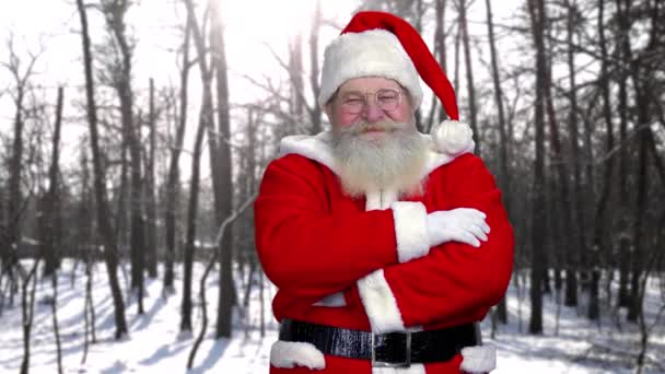 Santa, zimní lesní pozadí. — Stock video