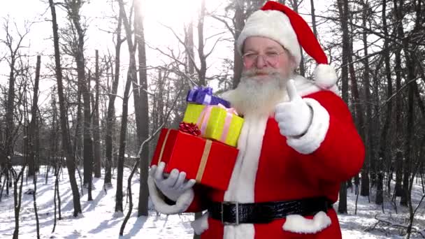 Santa segurando presentes ao ar livre . — Vídeo de Stock