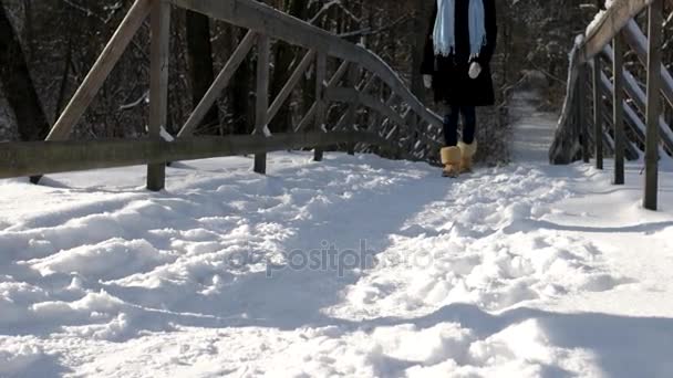 Menina andando na neve . — Vídeo de Stock