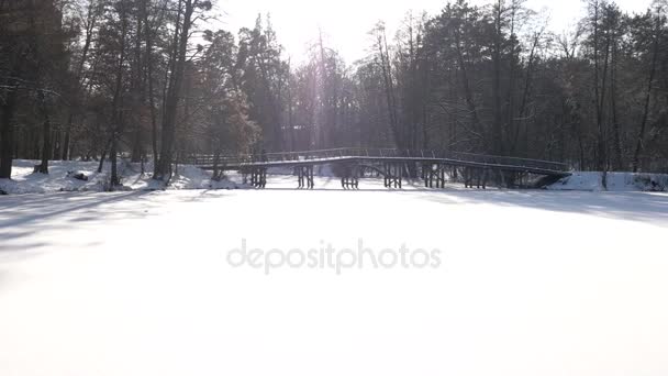 Parque en invierno, día soleado . — Vídeos de Stock