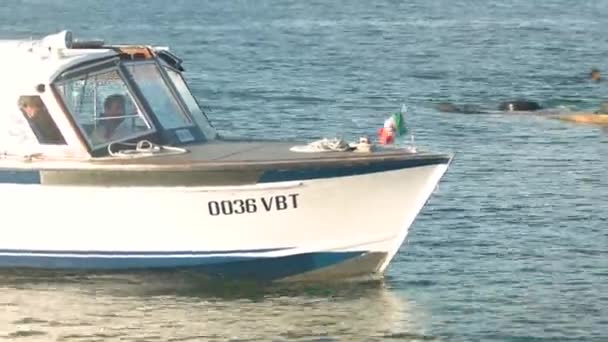 İskelede gelen turist tekne. — Stok video