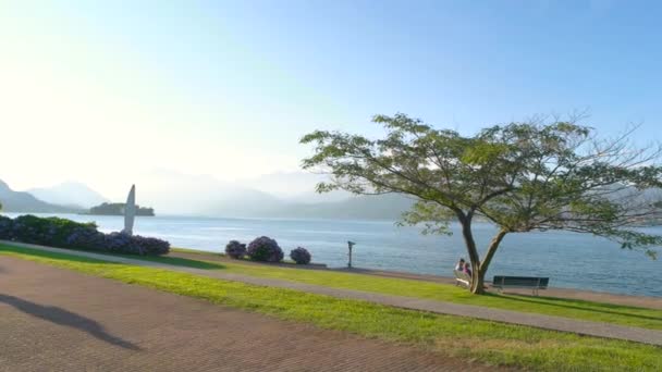 Tree on water background. — Stock Video