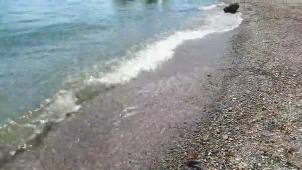 Göl kıyısında dalgaları. — Stok video