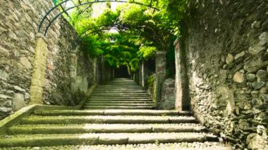 Yeşil bitkiler ve taş merdivenle.